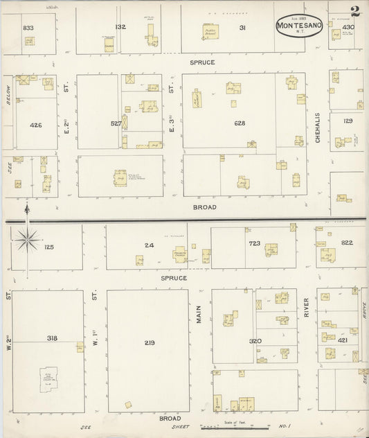 Sanborn Fire Insurance Map from Montesano, Grays Harbor County, Washington (1889), Sheet #0002 - Historic Sanborn Fire Insurance Map Print, vintage old map wall art, antique decor, genealogy gift, Washington Washington map