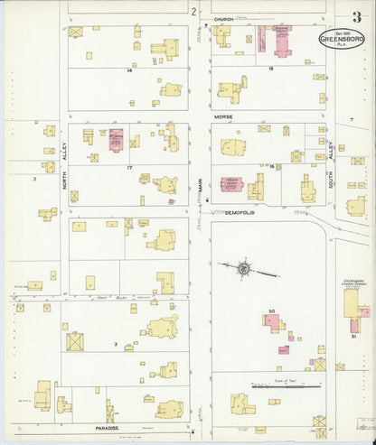 Sanborn Fire Insurance Map from Greensboro, Hale County, Alabama (1909), Sheet #0003 - Complete Map Set gallery image, historic Sanborn map, vintage wall art, Alabama Alabama