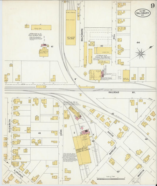 Sanborn Fire Insurance Map from Salisbury, Wicomico County, Maryland (1899), Sheet #0009 - Historic Sanborn Fire Insurance Map Print, vintage old map wall art