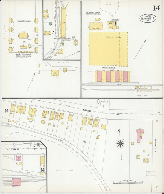 Sanborn Fire Insurance Map from Maysville, Mason County, Kentucky (1901), Sheet #0014 - Historic Sanborn Fire Insurance Map Print, vintage old map wall art, antique decor, genealogy gift, Kentucky Kentucky map