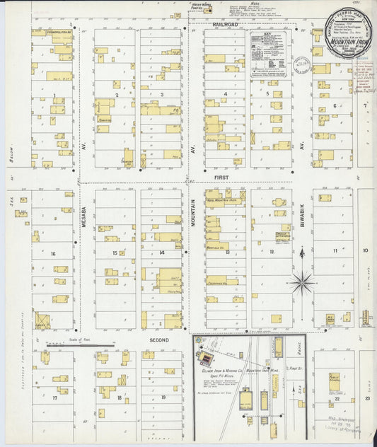 Sanborn Fire Insurance Map from Mountain Iron, Saint Louis County, Minnesota (1900), Sheet #0001 - Historic Sanborn Fire Insurance Map Print, vintage old map wall art, antique decor, genealogy gift, Minnesota Minnesota map