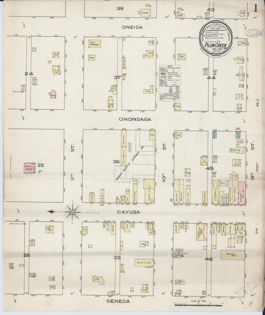 Sanborn Fire Insurance Map from Plum Creek, Dawson County, Nebraska (1885), Sheet #0001 - Historic Sanborn Fire Insurance Map Print, vintage old map wall art, antique decor, genealogy gift, Nebraska Nebraska map