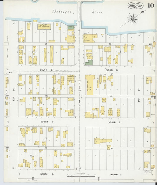 Sanborn Fire Insurance Map from Cheboygan, Cheboygan County, Michigan (1900), Sheet #0010 - Historic Sanborn Fire Insurance Map Print, vintage old map wall art, antique decor, genealogy gift, Michigan Michigan map