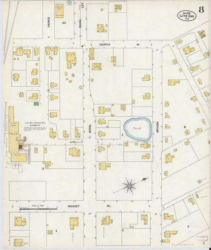 Sanborn Fire Insurance Map from Live Oak, Suwanee County, Florida (1903), Sheet #0008 - Complete Map Set gallery image, historic Sanborn map, vintage wall art, Florida Florida