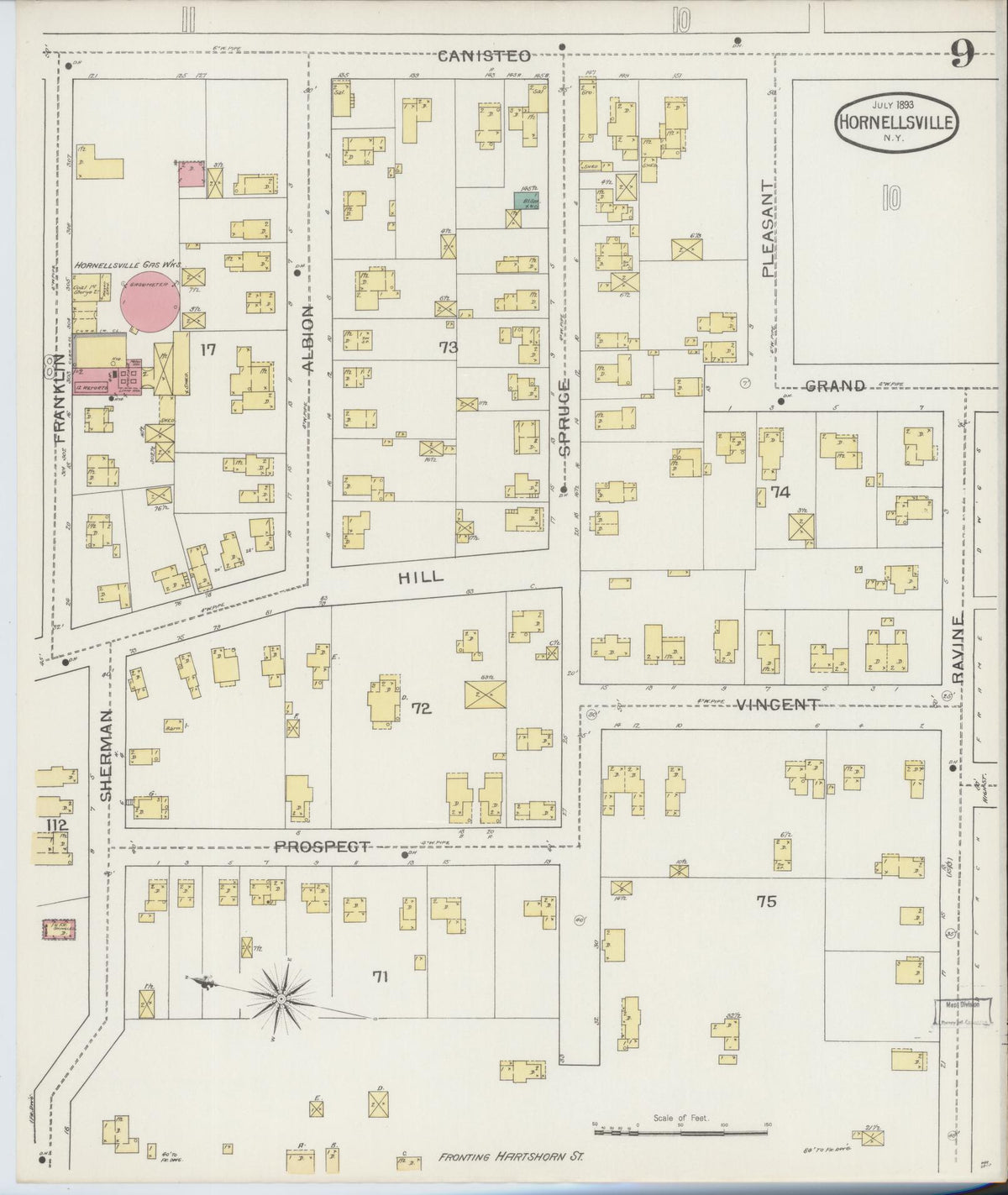 Sanborn Fire Insurance Map from Hornell, Steuben County, New York (1893), Sheet #0009 - Complete Map Set gallery image, historic Sanborn map, vintage wall art, New York New York