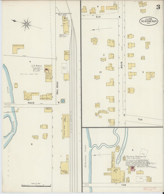 Sanborn Fire Insurance Map from Schenevus, Otsego County, New York (1898), Sheet #0003 - Historic Sanborn Fire Insurance Map Print, vintage old map wall art, antique decor, genealogy gift, New York New York map