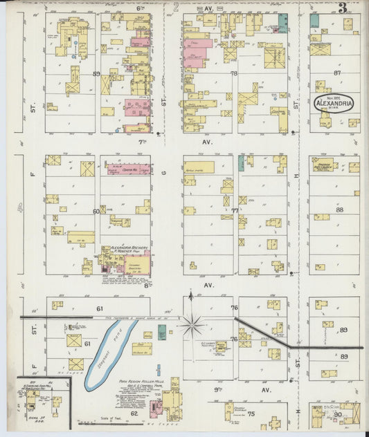 Sanborn Fire Insurance Map from Alexandria, Douglas County, Minnesota (1892), Sheet #0003 - Historic Sanborn Fire Insurance Map Print, vintage old map wall art, antique decor, genealogy gift, Minnesota Minnesota map