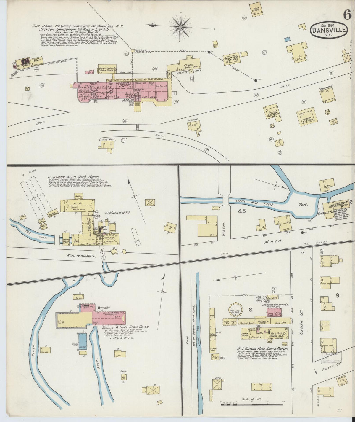 Sanborn Fire Insurance Map from Dansville, Livingston County, New York (1893), Sheet #0006 - Complete Map Set gallery image, historic Sanborn map, vintage wall art, New York New York