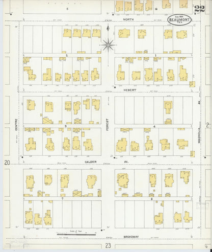 Sanborn Fire Insurance Map from Beaumont, Jefferson County, Texas (1904), Sheet #0022 - Historic Sanborn Fire Insurance Map Print, vintage old map wall art, antique decor, genealogy gift, Texas Texas map