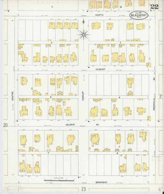 Sanborn Fire Insurance Map from Beaumont, Jefferson County, Texas (1904), Sheet #0022 - Historic Sanborn Fire Insurance Map Print, vintage old map wall art, antique decor, genealogy gift, Texas Texas map