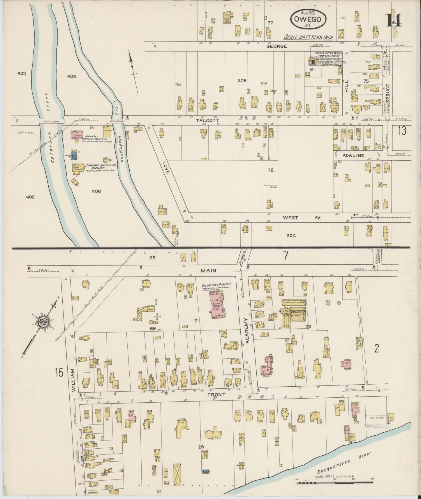 Sanborn Fire Insurance Map from Owego, Tioga County, New York (1915), Sheet #0014 - Historic Sanborn Fire Insurance Map Print, vintage old map wall art, antique decor, genealogy gift, New York New York map