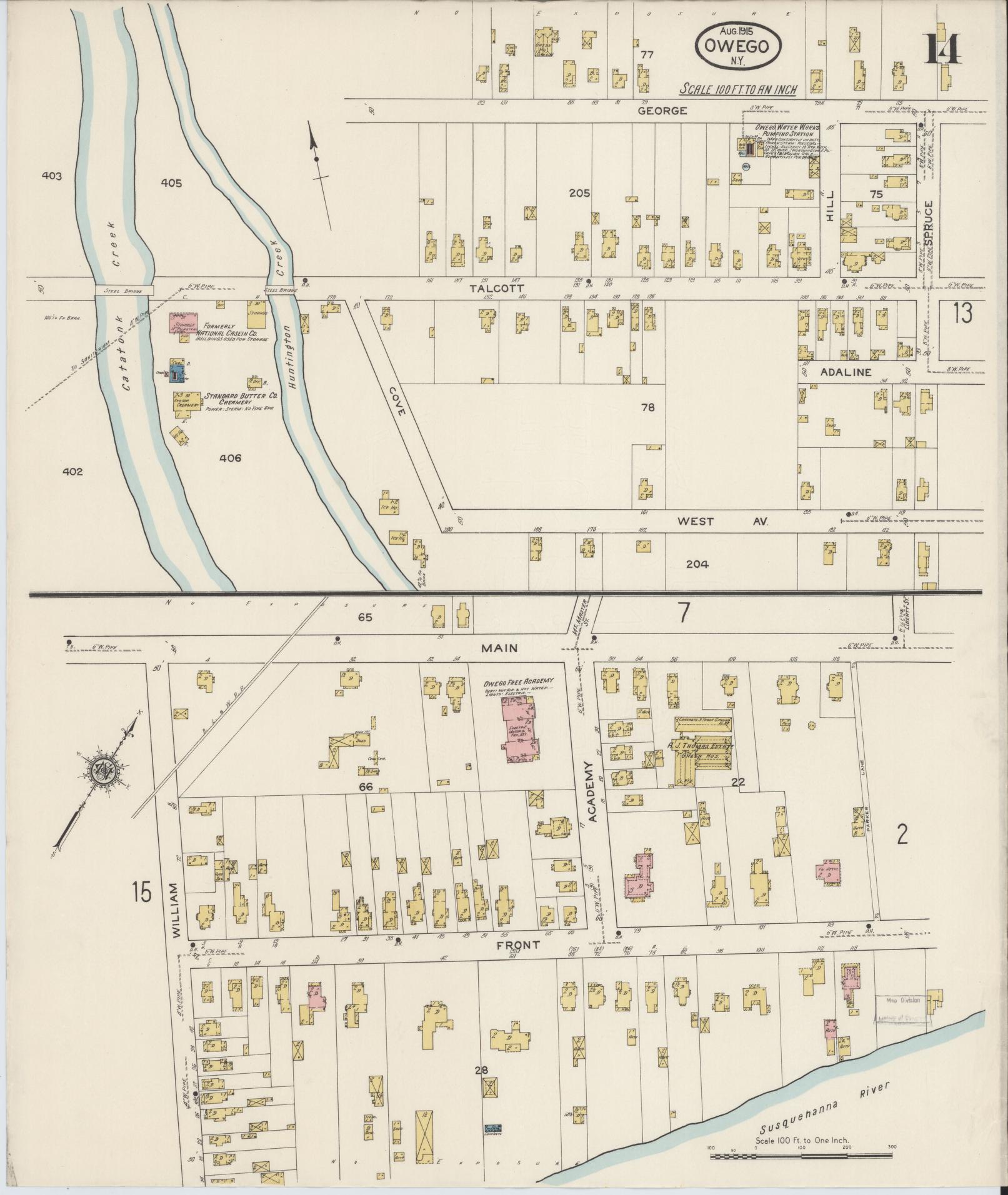 Sanborn Fire Insurance Map from Owego, Tioga County, New York (1915), Sheet #0014 - Historic Sanborn Fire Insurance Map Print, vintage old map wall art, antique decor, genealogy gift, New York New York map