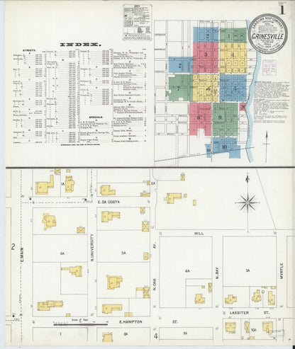 Sanborn Fire Insurance Map from Gainesville, Alachua County, Florida (1903), Sheet #0001 - Historic Sanborn Fire Insurance Map Print, vintage old map wall art, antique decor, genealogy gift, Florida Florida map