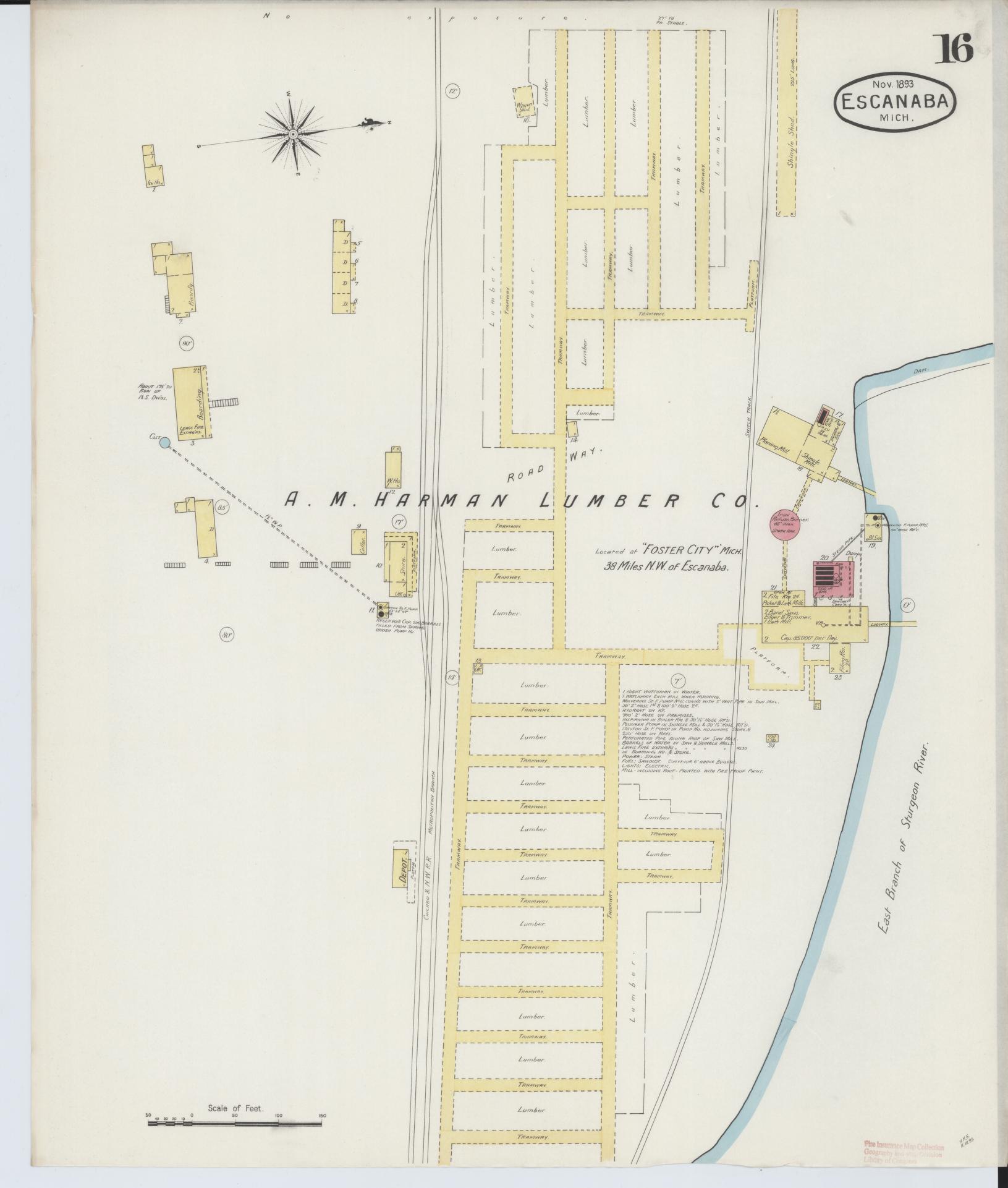 Sanborn Fire Insurance Map from Escanaba, Delta County, Michigan (1893), Sheet #0016 - Historic Sanborn Fire Insurance Map Print, vintage old map wall art, antique decor, genealogy gift, Michigan Michigan map
