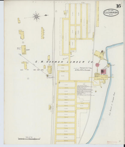 Sanborn Fire Insurance Map from Escanaba, Delta County, Michigan (1893), Sheet #0016 - Historic Sanborn Fire Insurance Map Print, vintage old map wall art, antique decor, genealogy gift, Michigan Michigan map