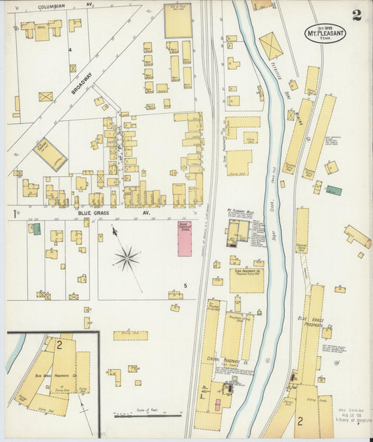 Sanborn Fire Insurance Map from Mount Pleasant, Maury County, Tennessee (1889), Sheet #0002 - Historic Sanborn Fire Insurance Map Print, vintage old map wall art, antique decor, genealogy gift, Tennessee Tennessee map