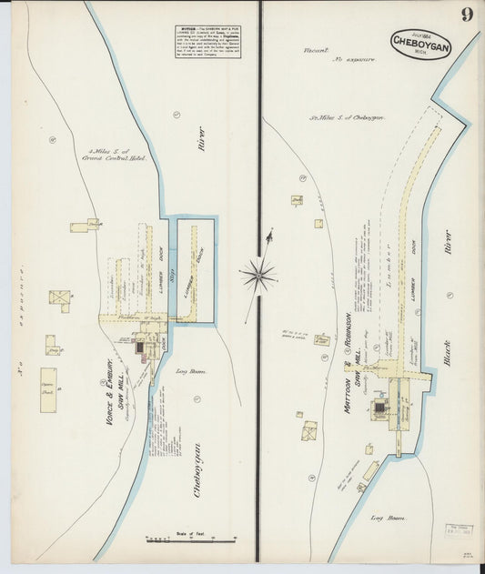 Sanborn Fire Insurance Map from Cheboygan, Cheboygan County, Michigan (1884), Sheet #0009 - Historic Sanborn Fire Insurance Map Print, vintage old map wall art, antique decor, genealogy gift, Michigan Michigan map
