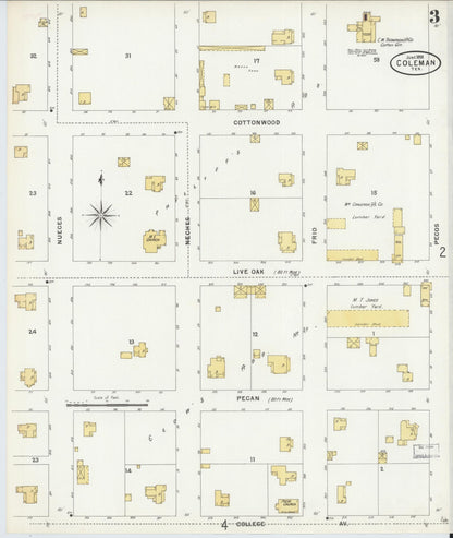 Sanborn Fire Insurance Map from Coleman, Coleman County, Texas (1898), Sheet #0003 - Historic Sanborn Fire Insurance Map Print, vintage old map wall art, antique decor, genealogy gift, Texas Texas map