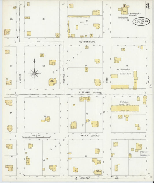 Sanborn Fire Insurance Map from Coleman, Coleman County, Texas (1898), Sheet #0003 - Historic Sanborn Fire Insurance Map Print, vintage old map wall art, antique decor, genealogy gift, Texas Texas map