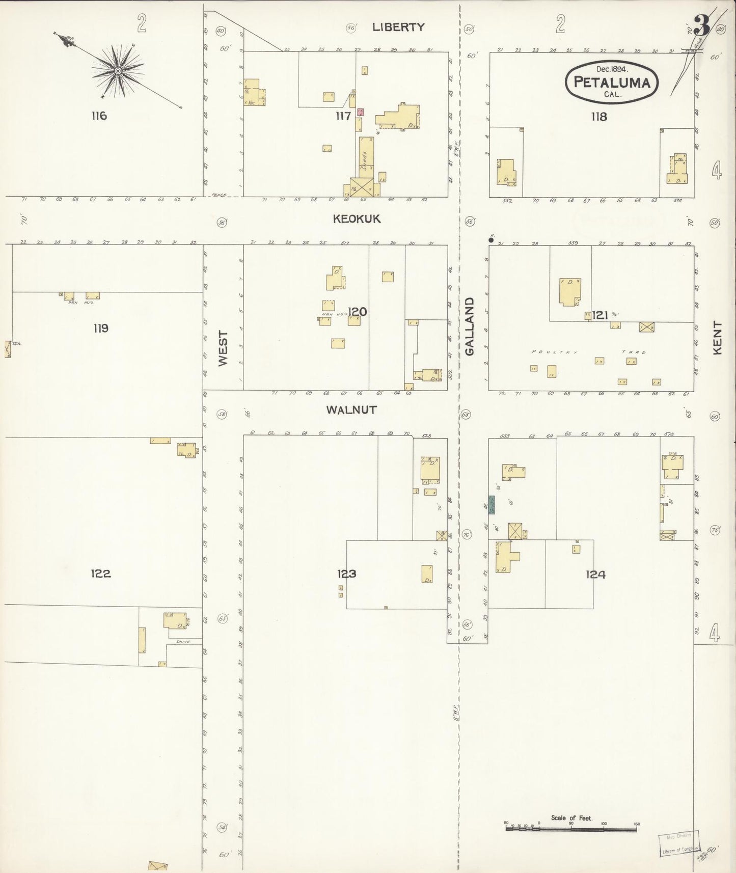 Sanborn Fire Insurance Map from Petaluma, Sonoma County, California (1894), Sheet #0003 - Complete Map Set gallery image, historic Sanborn map, vintage wall art, California California