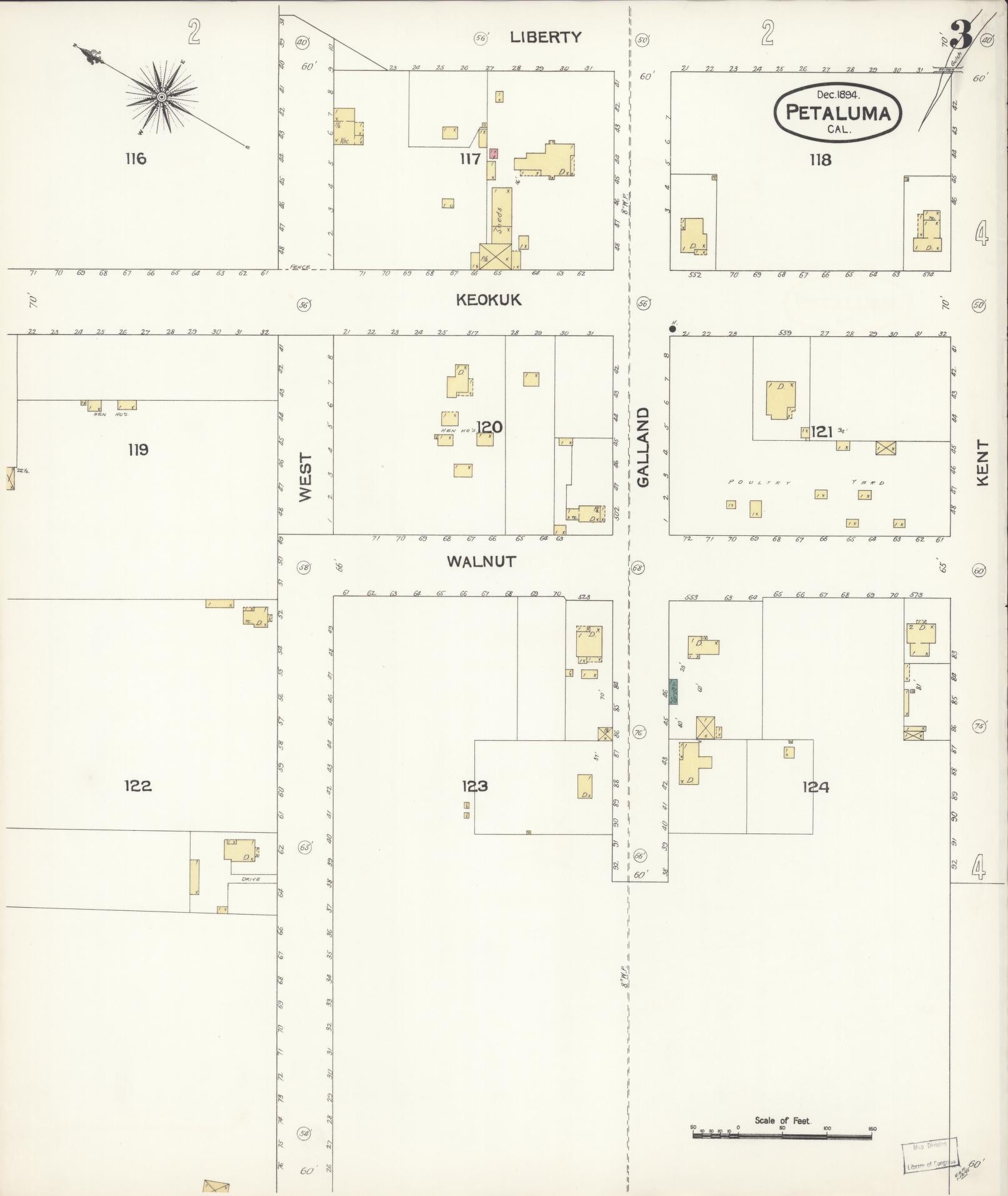 Sanborn Fire Insurance Map from Petaluma, Sonoma County, California (1894), Sheet #0003 - Complete Map Set gallery image, historic Sanborn map, vintage wall art, California California