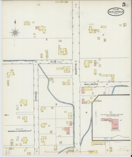 Sanborn Fire Insurance Map from Shelbyville, Bedford County, Tennessee (1894), Sheet #0005 - Historic Sanborn Fire Insurance Map Print, vintage old map wall art, antique decor, genealogy gift, Tennessee Tennessee map