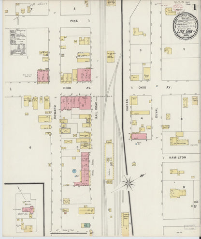 Sanborn Fire Insurance Map from Live Oak, Suwanee County, Florida (1895), Sheet #0001 - Complete Map Set gallery image, historic Sanborn map, vintage wall art, Florida Florida