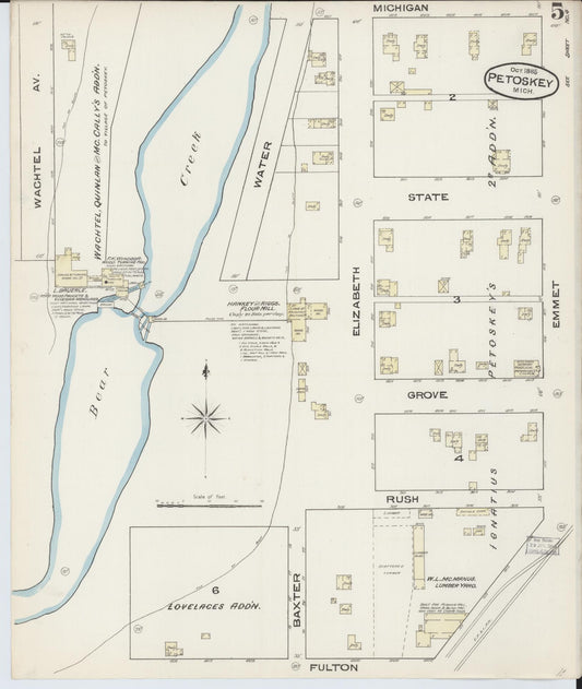 Sanborn Fire Insurance Map from Petoskey, Emmet County, Michigan (1885), Sheet #0005 - Historic Sanborn Fire Insurance Map Print, vintage old map wall art, antique decor, genealogy gift, Michigan Michigan map