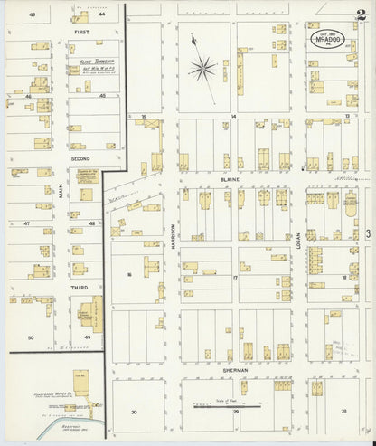 Sanborn Fire Insurance Map from McAdoo, Schuylkill County, Pennsylvania (1907), Sheet #0002 - Complete Map Set gallery image, historic Sanborn map, vintage wall art, Pennsylvania Pennsylvania