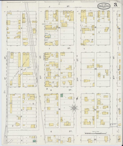 Sanborn Fire Insurance Map from Onalaska, La Crosse County, Wisconsin (1894), Sheet #0003 - Historic Sanborn Fire Insurance Map Print, vintage old map wall art, antique decor, genealogy gift, Wisconsin Wisconsin map