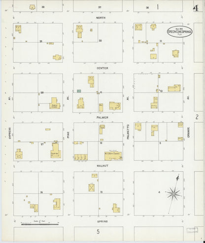 Sanborn Fire Insurance Map from Green Cove Springs, Clay County, Florida (1903), Sheet #0004 - Complete Map Set gallery image, historic Sanborn map, vintage wall art, Florida Florida