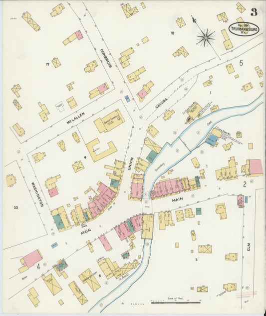 Sanborn Fire Insurance Map from Trumansburg, Tompkins County, New York (1905), Sheet #0003 - Historic Sanborn Fire Insurance Map Print, vintage old map wall art, antique decor, genealogy gift, New York New York map