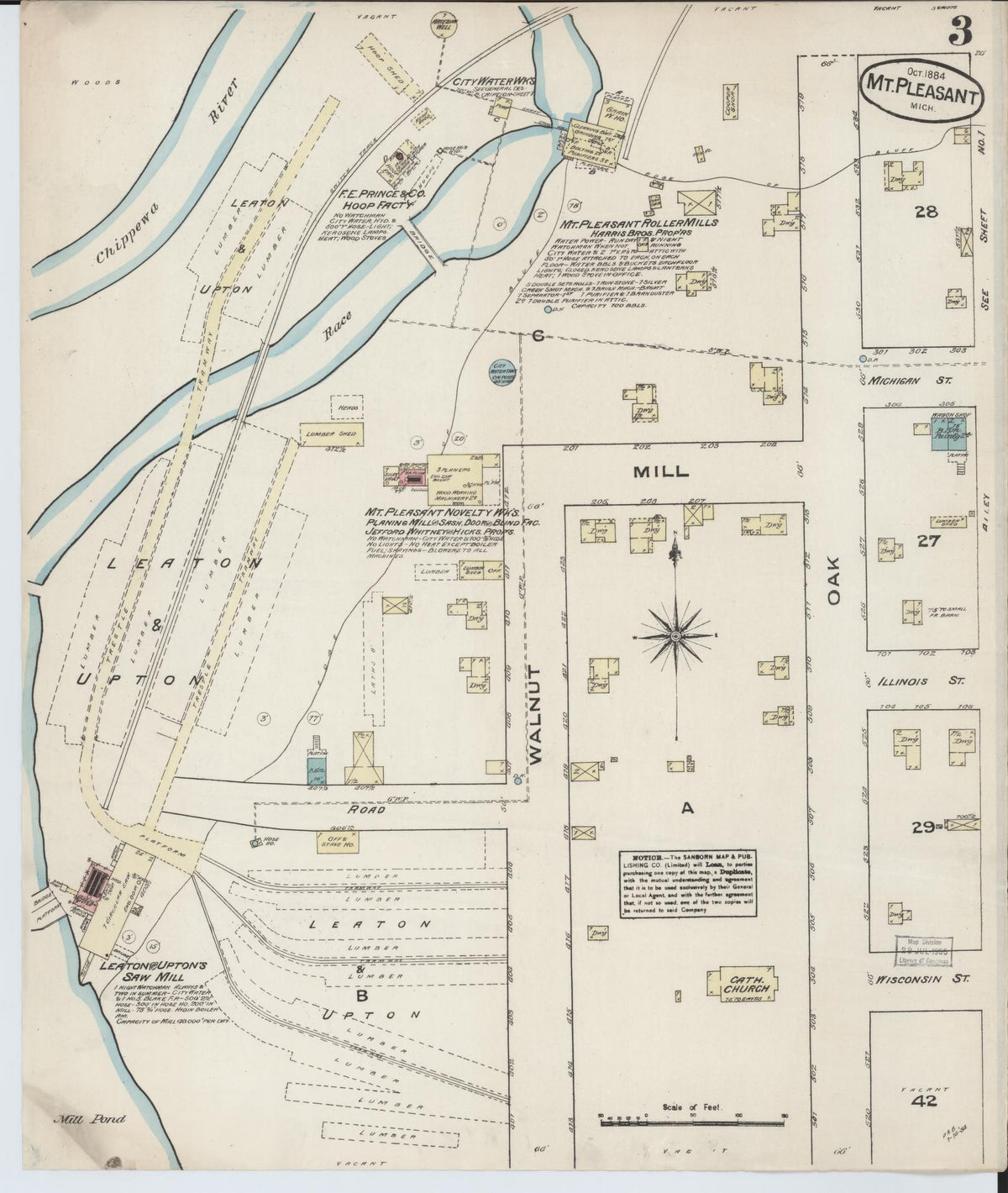 Sanborn Fire Insurance Map from Mount Pleasant, Isabella County, Michigan (1884), Sheet #0003 - Historic Sanborn Fire Insurance Map Print, vintage old map wall art, antique decor, genealogy gift, Michigan Michigan map