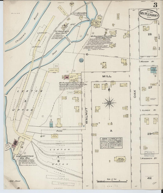 Sanborn Fire Insurance Map from Mount Pleasant, Isabella County, Michigan (1884), Sheet #0003 - Historic Sanborn Fire Insurance Map Print, vintage old map wall art, antique decor, genealogy gift, Michigan Michigan map