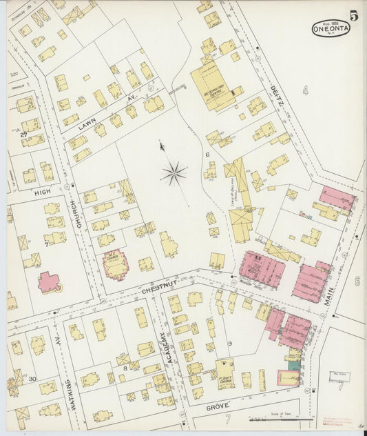 Sanborn Fire Insurance Map from Oneonta, Otsego County, New York (1893), Sheet #0005 - Historic Sanborn Fire Insurance Map Print, vintage old map wall art, antique decor, genealogy gift, New York New York map