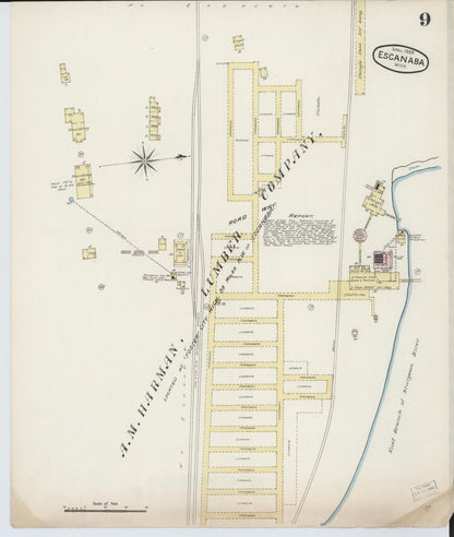 Sanborn Fire Insurance Map from Escanaba, Delta County, Michigan (1888), Sheet #0009 - Historic Sanborn Fire Insurance Map Print, vintage old map wall art, antique decor, genealogy gift, Michigan Michigan map