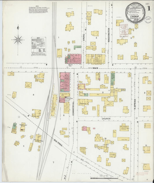 Sanborn Fire Insurance Map from Livonia, Livingston County, New York (1900), Sheet #0001 - Complete Map Set gallery image, historic Sanborn map, vintage wall art, New York New York