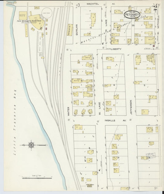 Sanborn Fire Insurance Map from Petoskey, Emmet County, Michigan (1913), Sheet #0002 - Historic Sanborn Fire Insurance Map Print, vintage old map wall art, antique decor, genealogy gift, Michigan Michigan map