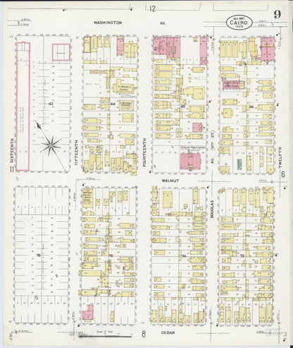 Sanborn Fire Insurance Map from Cairo, Alexander County, Illinois (1907), Sheet #0009 - Historic Sanborn Fire Insurance Map Print, vintage old map wall art, antique decor, genealogy gift, Illinois Illinois map