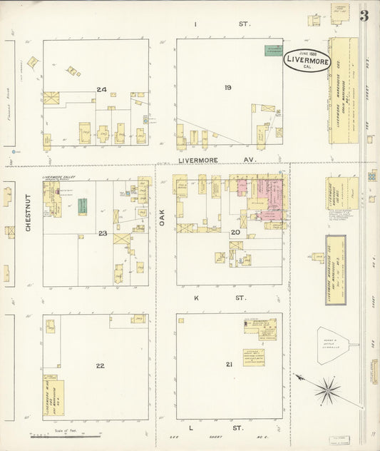 Sanborn Fire Insurance Map from Livermore, Alameda County, California (1888), Sheet #0003 - Historic Sanborn Fire Insurance Map Print, vintage old map wall art, antique decor, genealogy gift, California California map