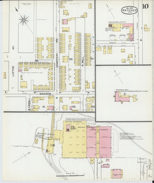 Sanborn Fire Insurance Map from Natchez, Adams County, Mississippi (1892), Sheet #0010 - Historic Sanborn Fire Insurance Map Print, vintage old map wall art, antique decor, genealogy gift, Mississippi Mississippi map