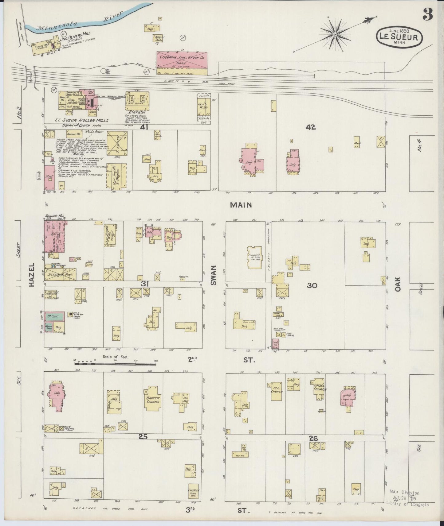 Sanborn Fire Insurance Map from Le Sueur, Le Sueur County, Minnesota (1890), Sheet #0003 - Historic Sanborn Fire Insurance Map Print, vintage old map wall art, antique decor, genealogy gift, Minnesota Minnesota map