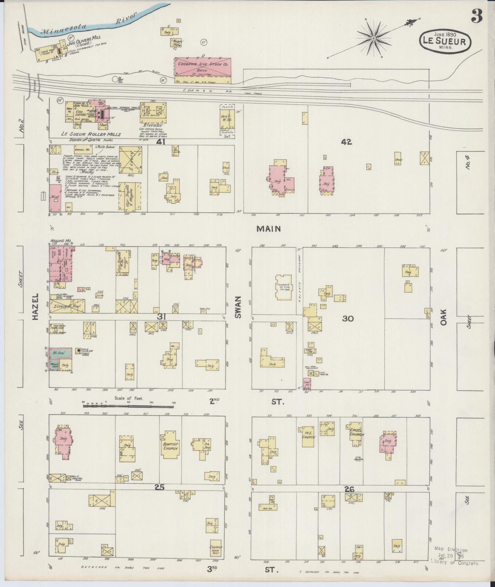 Sanborn Fire Insurance Map from Le Sueur, Le Sueur County, Minnesota (1890), Sheet #0003 - Historic Sanborn Fire Insurance Map Print, vintage old map wall art, antique decor, genealogy gift, Minnesota Minnesota map