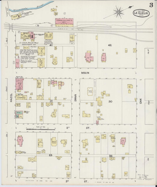 Sanborn Fire Insurance Map from Le Sueur, Le Sueur County, Minnesota (1890), Sheet #0003 - Historic Sanborn Fire Insurance Map Print, vintage old map wall art, antique decor, genealogy gift, Minnesota Minnesota map