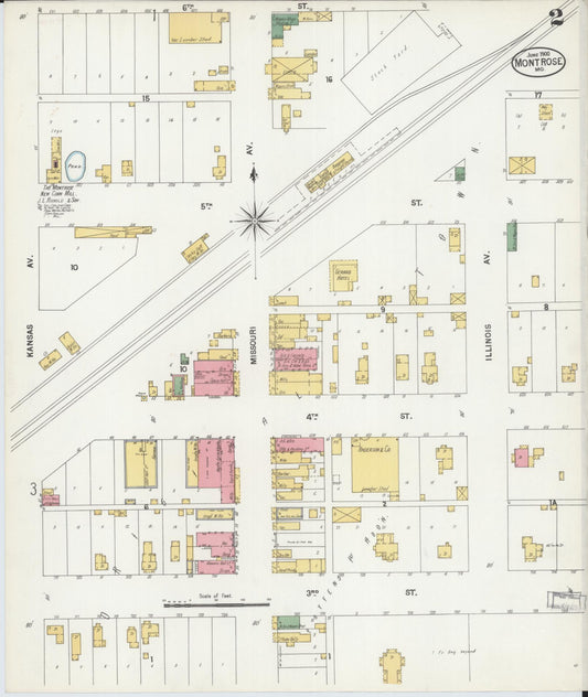 Sanborn Fire Insurance Map from Montrose, Henry County, Missouri (1900), Sheet #0002 - Historic Sanborn Fire Insurance Map Print, vintage old map wall art, antique decor, genealogy gift, Missouri Missouri map