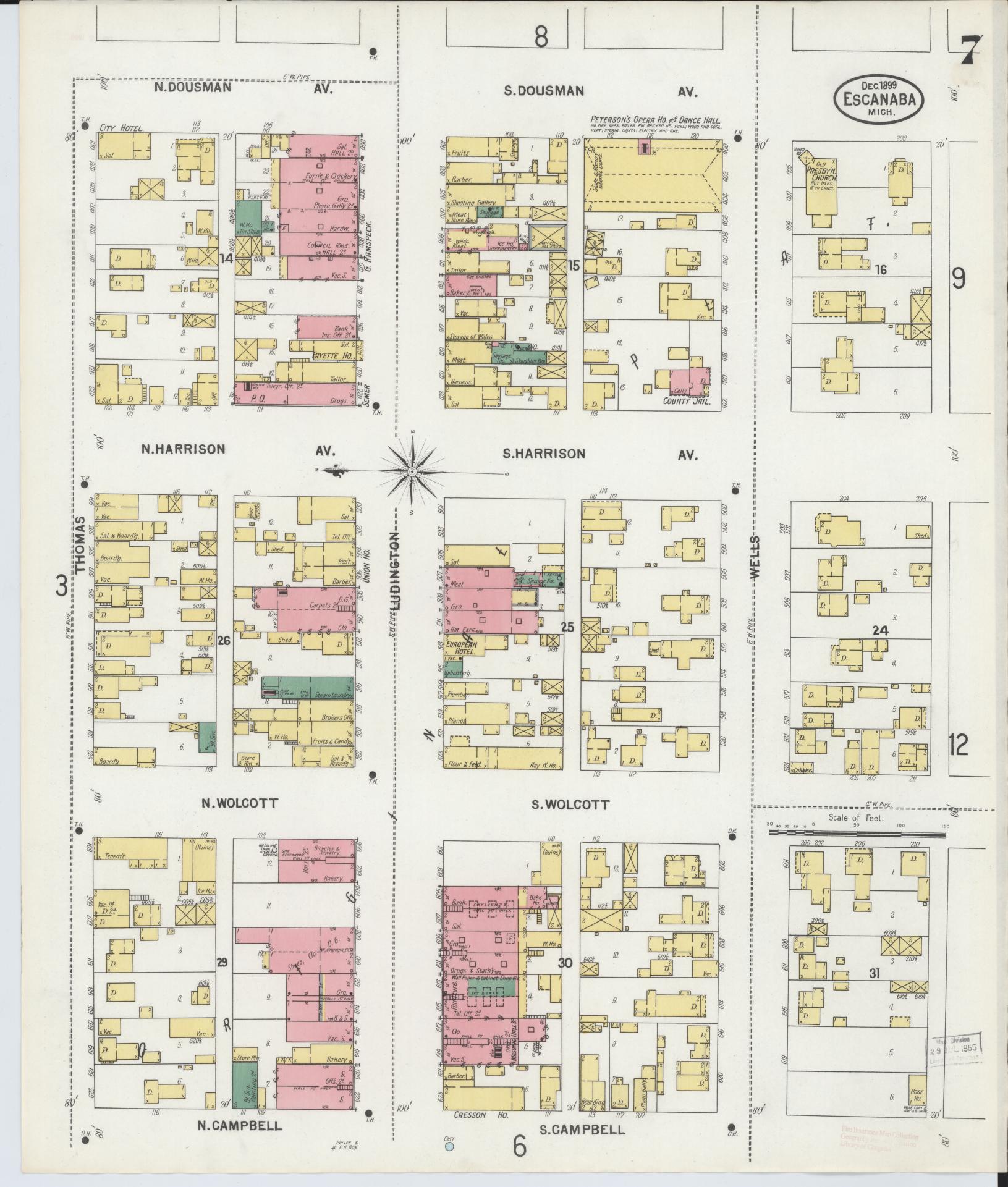 Sanborn Fire Insurance Map from Escanaba, Delta County, Michigan (1899), Sheet #0007 - Historic Sanborn Fire Insurance Map Print, vintage old map wall art, antique decor, genealogy gift, Michigan Michigan map