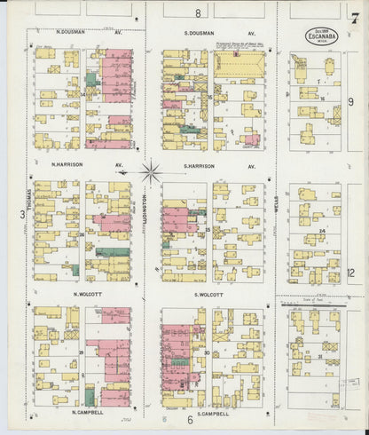 Sanborn Fire Insurance Map from Escanaba, Delta County, Michigan (1899), Sheet #0007 - Historic Sanborn Fire Insurance Map Print, vintage old map wall art, antique decor, genealogy gift, Michigan Michigan map