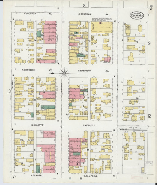 Sanborn Fire Insurance Map from Escanaba, Delta County, Michigan (1899), Sheet #0007 - Historic Sanborn Fire Insurance Map Print, vintage old map wall art, antique decor, genealogy gift, Michigan Michigan map
