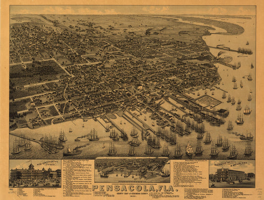 Pensacola, Fla. county seat of Escambia County 1885. (1885) – Historic Bird’s-Eye View Panorama Print