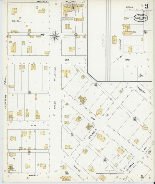 Sanborn Fire Insurance Map from Sallisaw, Sequoyah County, Oklahoma (1904), Sheet #0003 - Historic Sanborn Fire Insurance Map Print, vintage old map wall art, antique decor, genealogy gift, Oklahoma Oklahoma map